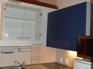 Pronájem bytu 1+kk, Praha - Žižkov, Milíčova, 30 m2