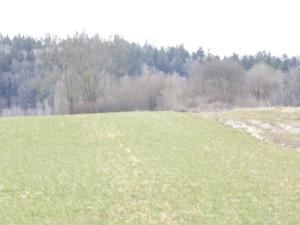 Dražba pole, Nadějkov, 9254 m2