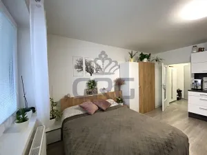 Pronájem bytu 1+kk, Slavkov u Brna, Zelnice II., 39 m2