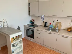 Pronájem bytu 2+1, Ostrava, Františka Formana, 60 m2
