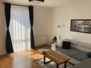 Pronájem bytu 2+1, Ostrava, Františka Formana, 60 m2