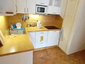 Prodej bytu 2+kk, Praha - Holešovice, Jankovcova, 50 m2