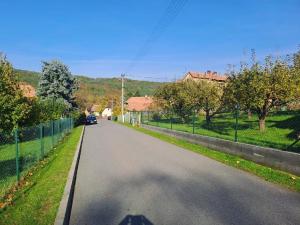 Prodej rodinného domu, Nový Jáchymov, Tyršova, 200 m2