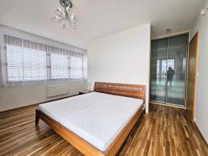 Pronájem bytu 4+kk, Praha - Krč, Hudečkova, 172 m2
