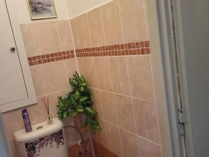 Prodej bytu 2+1, Ostrava, 1. československého armádního sboru, 55 m2