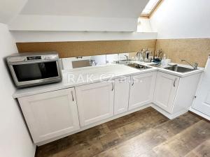 Pronájem bytu 1+kk, Praha - Josefov, Pařížská, 21 m2