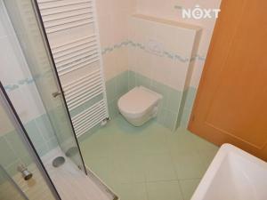 Pronájem bytu 2+kk, Černý Důl, 58 m2