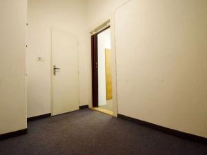 Pronájem bytu 1+kk, Praha - Vinohrady, Londýnská, 35 m2