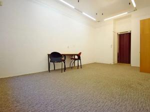 Pronájem bytu 1+kk, Praha - Vinohrady, Londýnská, 35 m2