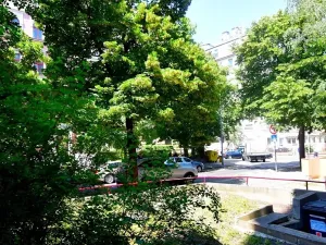 Pronájem bytu 1+kk, Praha - Vinohrady, Londýnská, 35 m2