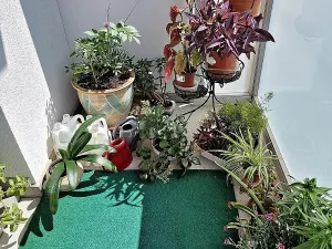 Pronájem bytu 2+1, Ostrava, 55 m2