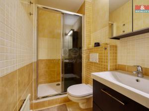 Prodej bytu 2+kk, Železná Ruda - Alžbětín, 55 m2