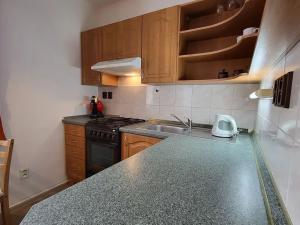 Pronájem bytu 1+kk, Nový Jičín, Husova, 40 m2