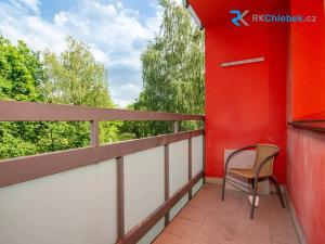 Prodej bytu 1+1, Frýdek-Místek, J. E. Purkyně, 41 m2