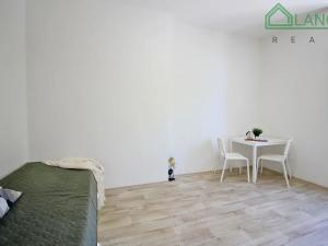 Pronájem bytu 1+kk, Brno, Palackého třída, 24 m2