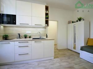 Pronájem bytu 1+kk, Brno, Palackého třída, 24 m2