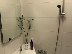 Pronájem bytu 3+1, Horka nad Moravou, 65 m2