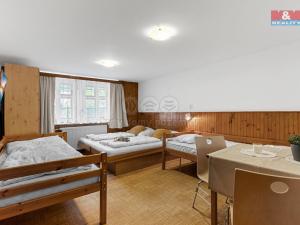 Prodej chalupy, Rokytnice nad Jizerou - Horní Rokytnice, 200 m2
