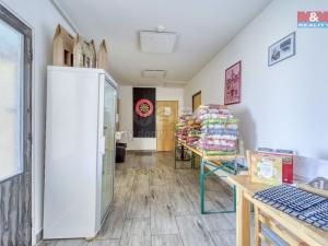 Prodej ubytování, Starý Kolín, Za poštou, 3398 m2