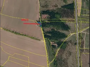 Prodej lesa, Čížov, 620 m2
