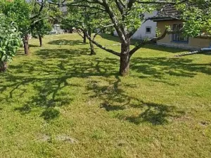 Prodej rodinného domu, Nezamyslice, 300 m2
