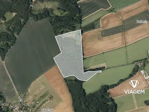 Prodej podílu lesa, Palonín, 18900 m2