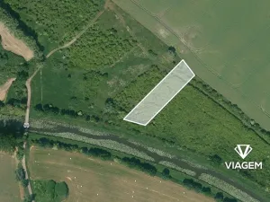 Prodej podílu lesa, Převýšov, 453 m2