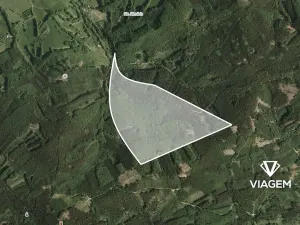 Prodej podílu lesa, Vizovice, 3443 m2