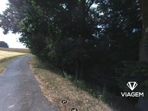 Prodej podílu lesa, Kokořín, 7736 m2