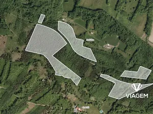Prodej podílu lesa, Smilovice, 2789 m2