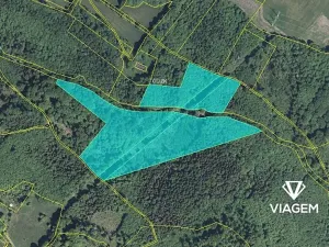 Prodej podílu lesa, Smilovice, 2789 m2