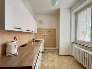 Pronájem bytu 3+1, Brno, Křížová, 73 m2