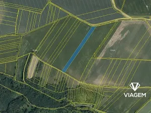 Prodej podílu pole, Stařechovice, 963 m2