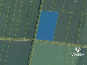 Prodej podílu pole, Vlasatice, 47520 m2