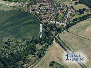 Prodej lesa, Trhové Dušníky, 909 m2