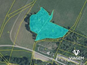 Prodej podílu lesa, Oborná, 10120 m2