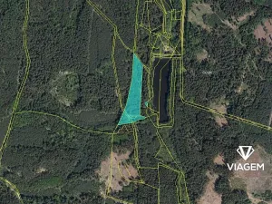 Prodej lesa, Veliny, 10334 m2
