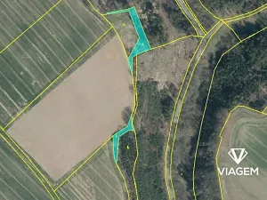 Prodej podílu lesa, Doksy, 3462 m2