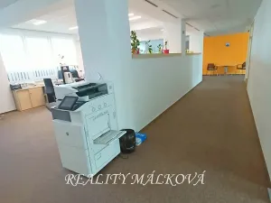 Pronájem obchodního prostoru, Pardubice, Masarykovo náměstí, 260 m2