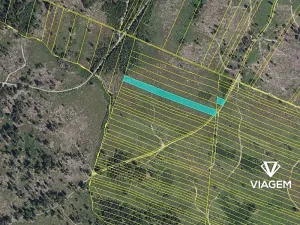 Prodej podílu lesa, Nová Hradečná, 709 m2
