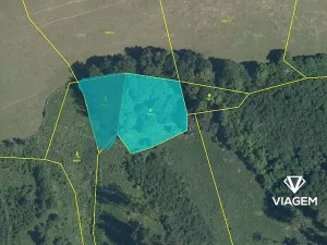 Prodej podílu lesa, Brumov-Bylnice, 464 m2