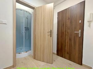 Pronájem bytu 2+kk, Praha - Žižkov, 41 m2