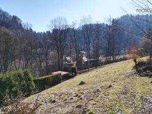 Prodej louky, Železný Brod, 4168 m2