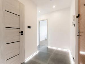 Pronájem bytu 2+kk, Bílina, Síbova, 40 m2