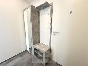 Pronájem bytu 1+1, Praha - Nusle, Boleslavova, 39 m2