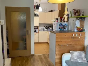 Pronájem bytu 2+kk, Liberec, Tálínská, 40 m2