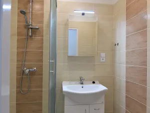Pronájem bytu 2+kk, Brno, Rerychova, 42 m2