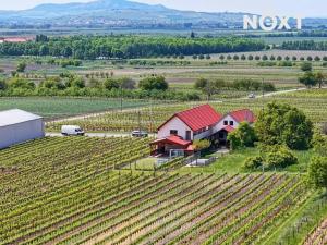 Prodej ubytování, Velké Bílovice, 322 m2