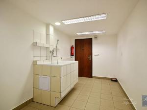 Pronájem obchodního prostoru, Ústí nad Labem, Spartakiádní, 11 m2