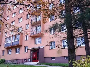Pronájem bytu 1+kk, Havířov, 17. listopadu, 25 m2